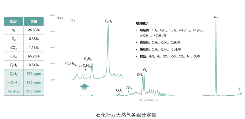 鉴知气体在线拉曼分析仪RS2600(图4)