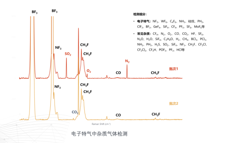 鉴知气体在线拉曼分析仪RS2600(图6)